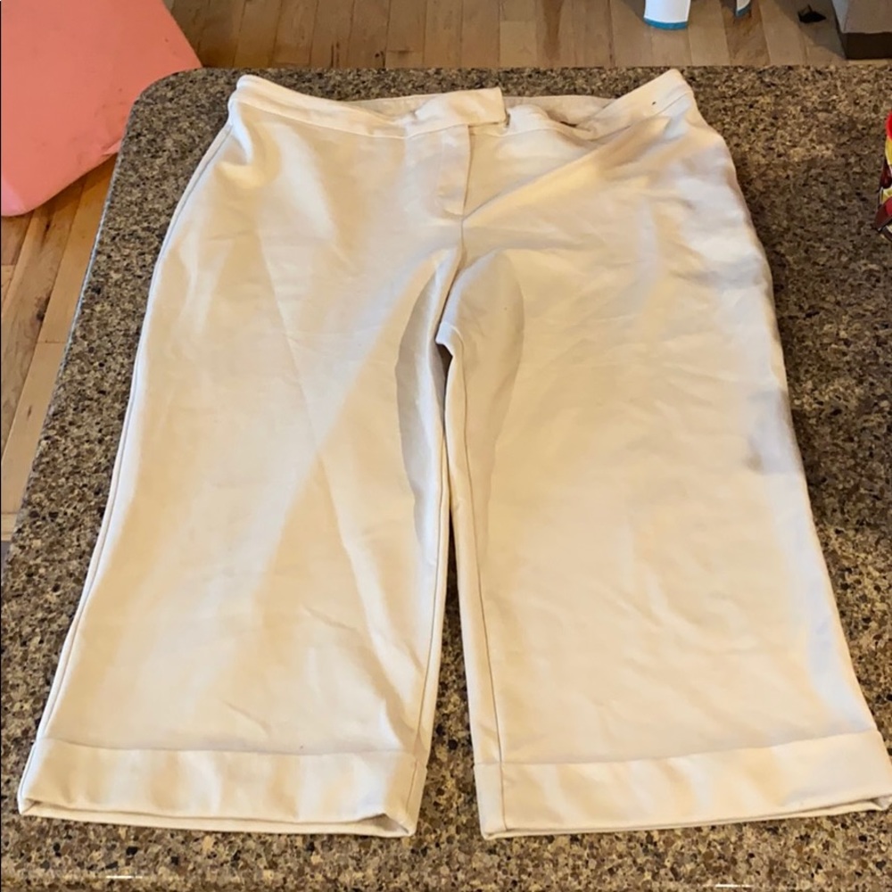 Dress pants